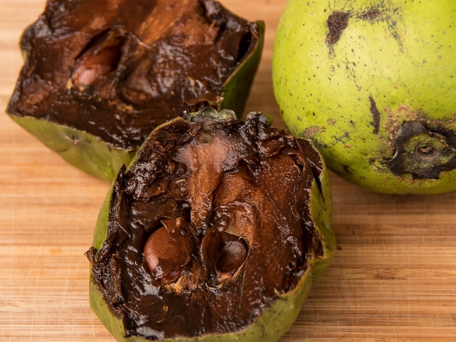 Frucht schwarze Sapote